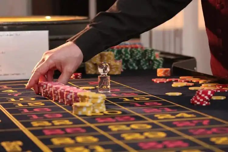 Casino-style games and slot entertainment on paldo